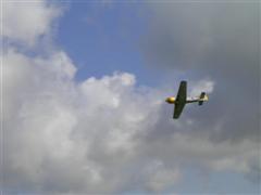 PICT1808.JPG
